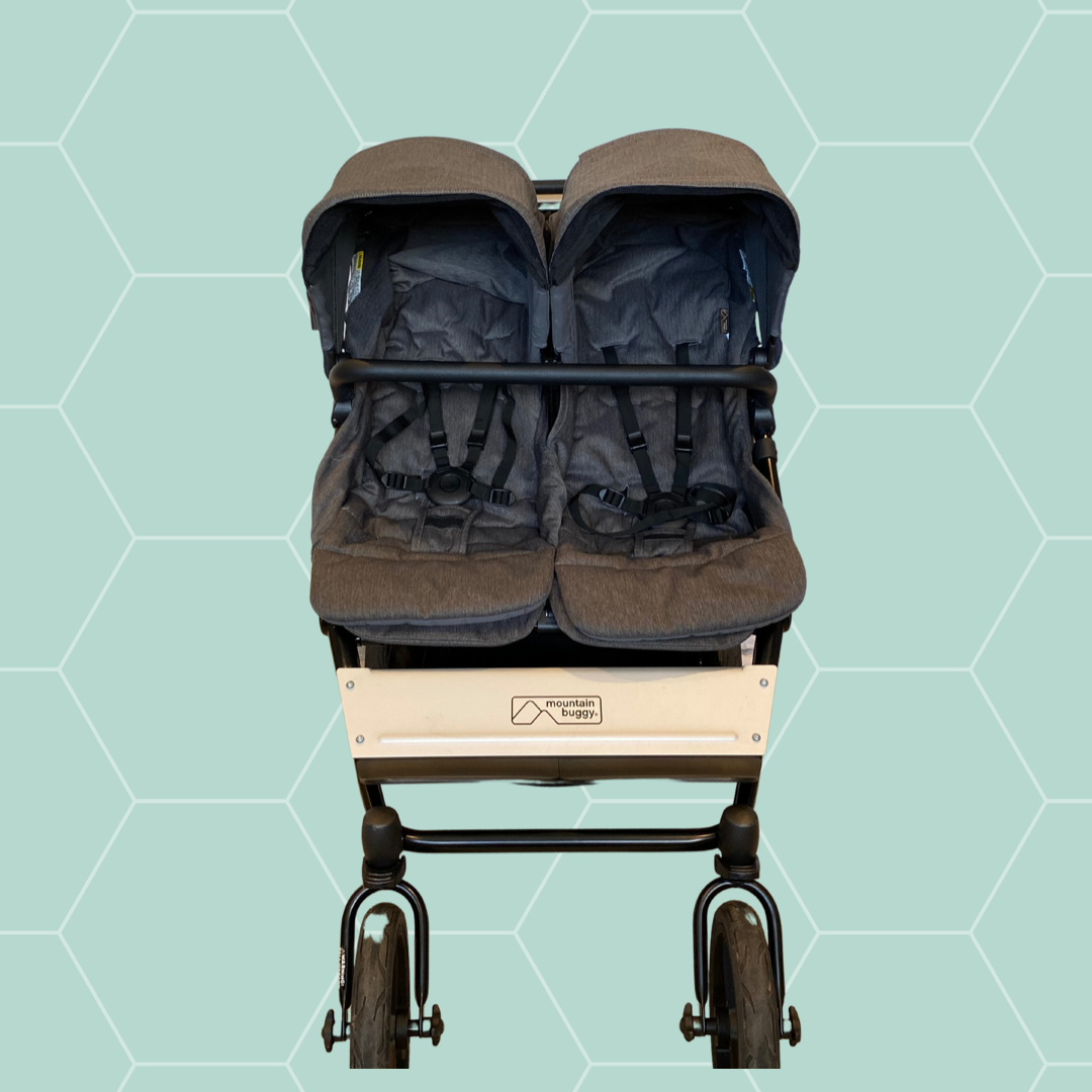 Mountain buggy best sale duet flint